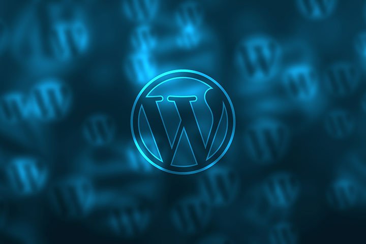 Why WordPress is Easy to Customize